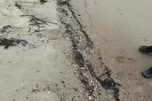 В Одесской области обнаружили загрязнение побережья: где именно и чем фото 3