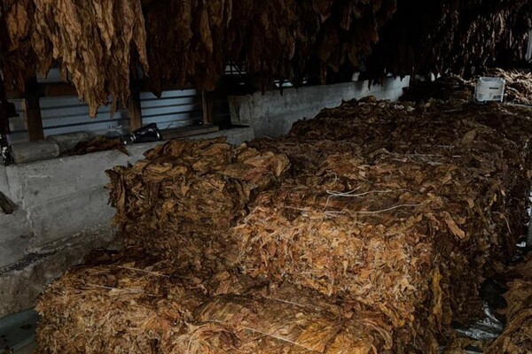 Табачная схема на 13 миллионов гривен: полиция Одесчины разоблачила межрегиональную сеть производства сигарет фото 2