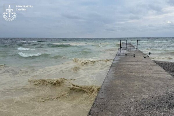 Наслідок ударів по порту Південний: на узбережжі Одеси забруднення від соняшникової олії фото 1