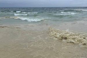 Наслідок ударів по порту Південний: на узбережжі Одеси забруднення від соняшникової олії фото 2