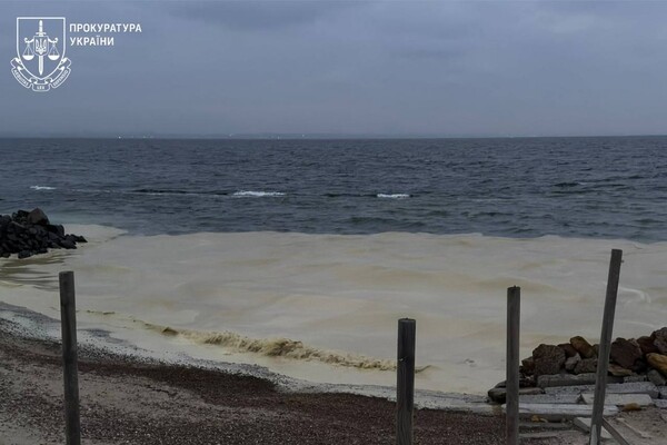 Наслідок ударів по порту Південний: на узбережжі Одеси забруднення від соняшникової олії фото 3