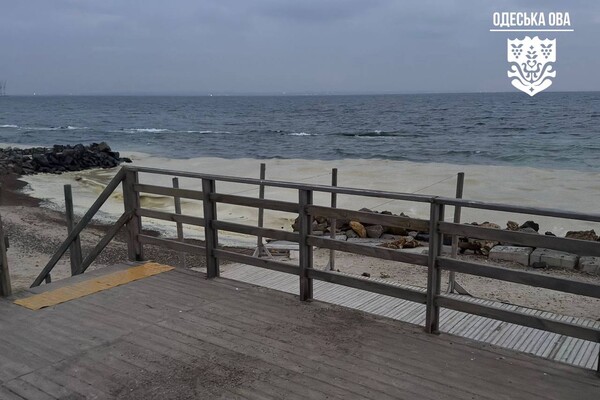 Наслідок ударів по порту Південний: на узбережжі Одеси забруднення від соняшникової олії фото 4