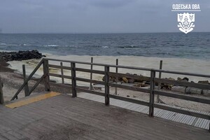 Наслідок ударів по порту Південний: на узбережжі Одеси забруднення від соняшникової олії фото 4