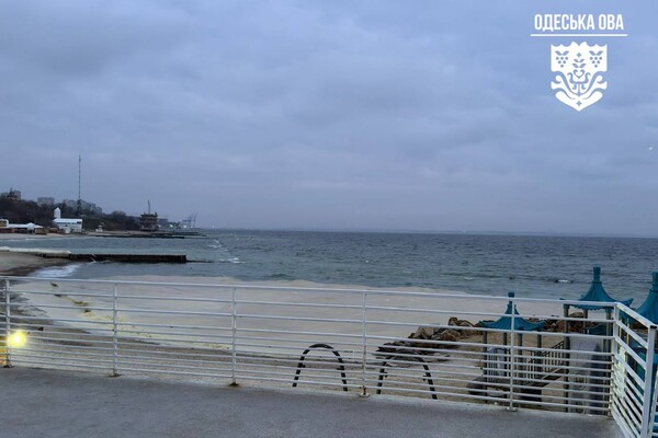 Наслідок ударів по порту Південний: на узбережжі Одеси забруднення від соняшникової олії фото 5