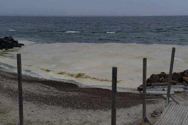 Наслідок ударів по порту Південний: на узбережжі Одеси забруднення від соняшникової олії фото 6