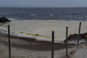 Наслідок ударів по порту Південний: на узбережжі Одеси забруднення від соняшникової олії фото 6