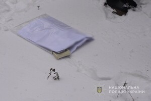 Дело об уходе за бабушкой: за что в Одесской области задержали руководительницу аппарата суда фото 1