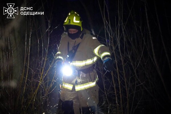 В Одесском районе горел склад: огонь охватил большую площадь фото 8