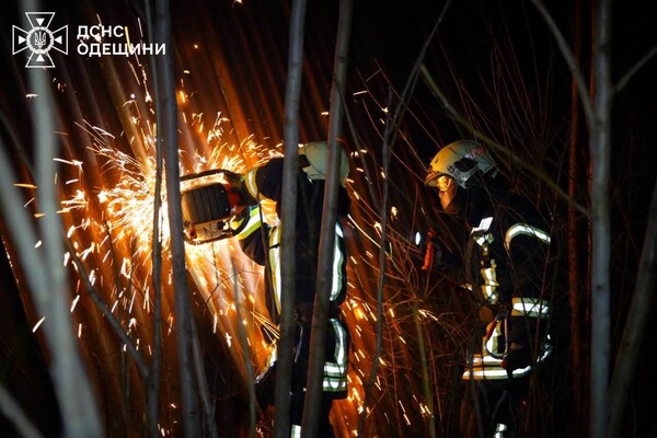 В Одесском районе горел склад: огонь охватил большую площадь фото 10