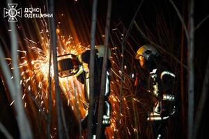 В Одесском районе горел склад: огонь охватил большую площадь фото 10