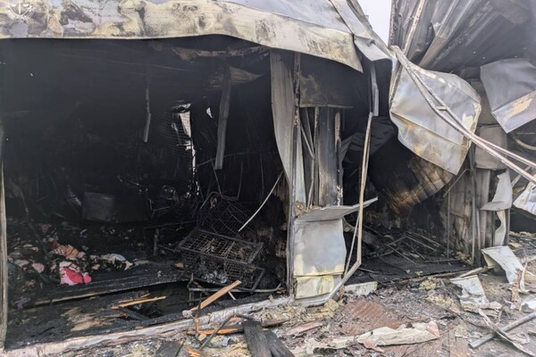 Одессу атаковали ударные БпЛА: под обстрелом оказался объект инфраструктуры, есть постраждавший (обновлено) фото 33