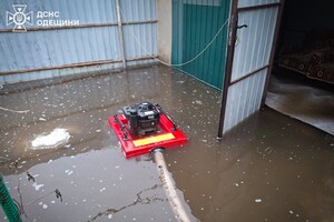 В Одесской области подтопило частные дома: подробности от спасателей фото
