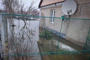 В Одесской области подтопило частные дома: подробности от спасателей фото 5