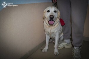 РФ атакувала Одесу ударними дронами: горить будинок, постраждали люди (оновлено) фото 3