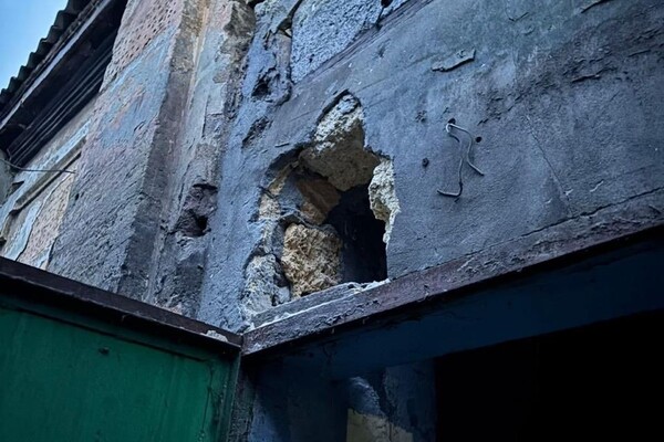 В Одесском зоопарке обнаружили нарушения: бюджет понес убытки более чем на 2,5 миллиона гривен фото 5