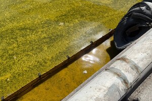 Из-за удара по порту на Одесщине в море попали тонны подсолнечного масла фото