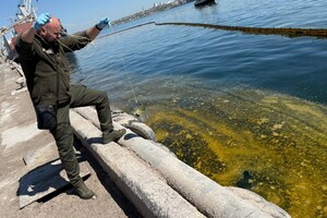 Из-за удара по порту на Одесщине в море попали тонны подсолнечного масла фото 1