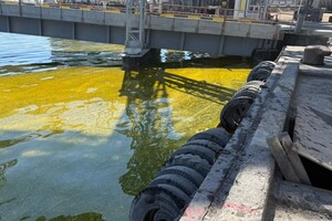 Из-за удара по порту на Одесщине в море попали тонны подсолнечного масла фото 3