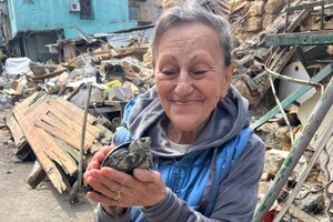 Выжила под руинами: в Одессе через пять дней после обстрела вызволили из-под завалов черепаху фото 2