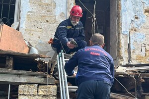 Выжила под руинами: в Одессе через пять дней после обстрела вызволили из-под завалов черепаху фото 3