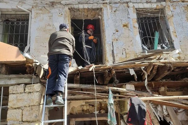 Выжила под руинами: в Одессе через пять дней после обстрела вызволили из-под завалов черепаху фото 4