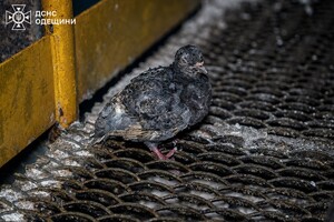 РФ атаковала Одесчину дронами: под ударом оказался объект критической инфраструктуры фото 9