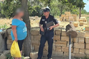 В Одесской области дворовый пес покусал полуторагодовалого малыша фото