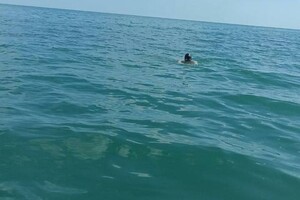 В Одесі течія ледь не віднесла в море майже два десятки людей фото