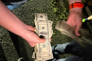 Майже півтори сотні чоловік під виглядом моряків утекли за кордон: на Одещині викрили схему переправлення фото 6