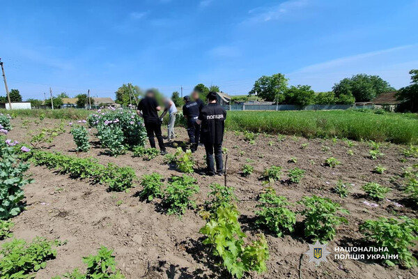 Кілограми наркотиків, тисячі кущів маку та конопель: підсумки спецоперації "Джентельмени" на Одещині фото 2