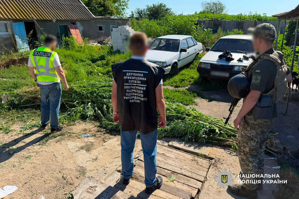 Кілограми наркотиків, тисячі кущів маку та конопель: підсумки спецоперації "Джентельмени" на Одещині фото 10