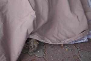 РФ ударила по пригороду Одессы двумя ракетами: погибла женщина, есть пострадавший (обновлено) фото 3