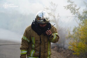 РФ обстреляла Одесский район: горели лес и сухая трава фото