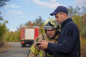РФ обстреляла Одесский район: горели лес и сухая трава фото 1