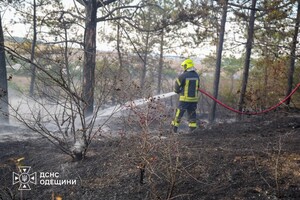 РФ обстреляла Одесский район: горели лес и сухая трава фото 8