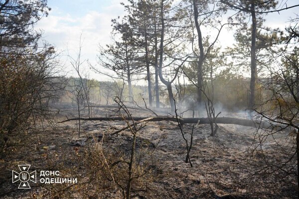 РФ обстреляла Одесский район: горели лес и сухая трава фото 11