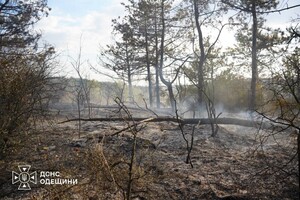 РФ обстреляла Одесский район: горели лес и сухая трава фото 11