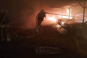 РФ обстреляла приют для животных в Одесской области: погибла собака фото