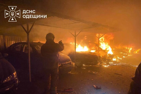РФ обстреляла приют для животных в Одесской области: погибла собака фото 2