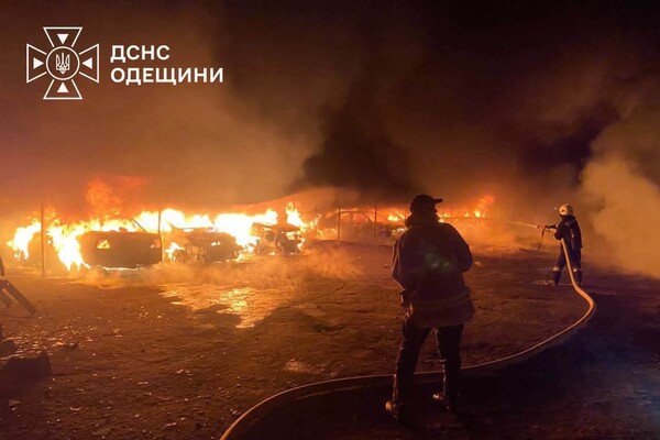 РФ обстреляла приют для животных в Одесской области: погибла собака фото 3