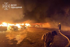 РФ обстреляла приют для животных в Одесской области: погибла собака фото 4