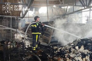 Росіяни обстріляли супермаркет на Одещині: є поранені (оновлено) фото 6
